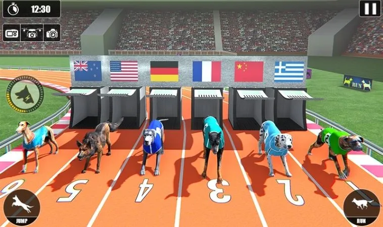 Đua Chó tại JJ88