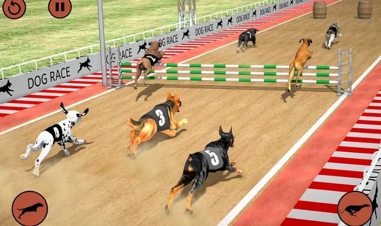 Giao diện chơi game nhanh Đua Chó tại JJ88