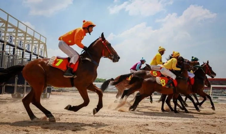 Tìm Hiểu Cá Cược Đua Ngựa JJ88: Thắng Lớn Với Từng Vòng Đua 2 Cần tìm hiểu kỹ về bộ môn đua ngựa JJ88 trước khi cá cược